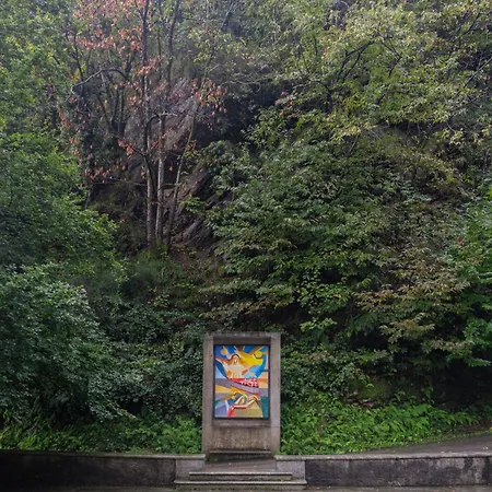 Palazzo Branca Mit Blick Auf Den See- By Interhome Brissago