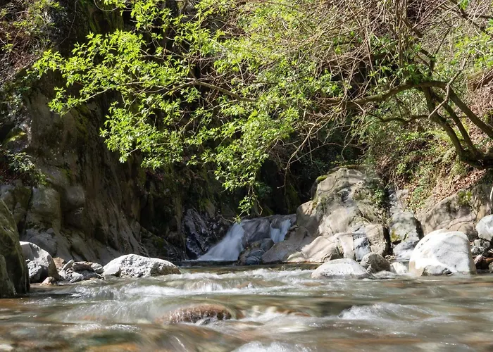 Palazzo Branca Mit Blick Auf Den See- By Interhome Holiday home *