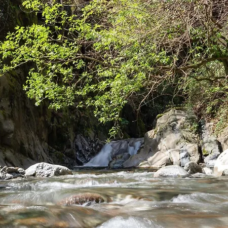 Palazzo Branca Mit Blick Auf Den See- By Interhome 別荘 *