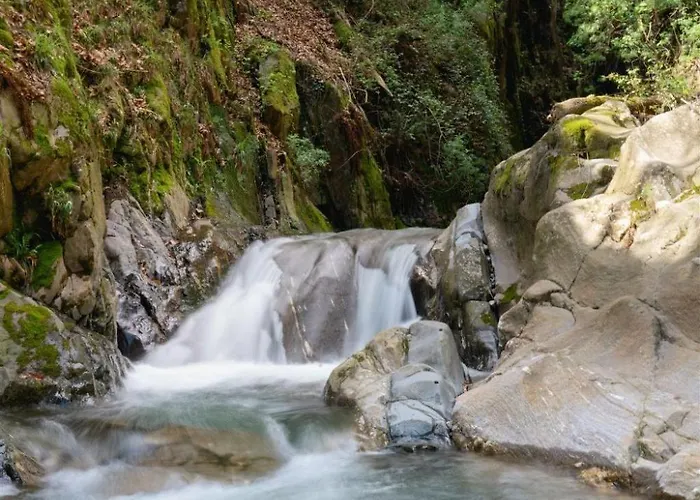 別荘 Palazzo Branca Mit Blick Auf Den See- By Interhome *