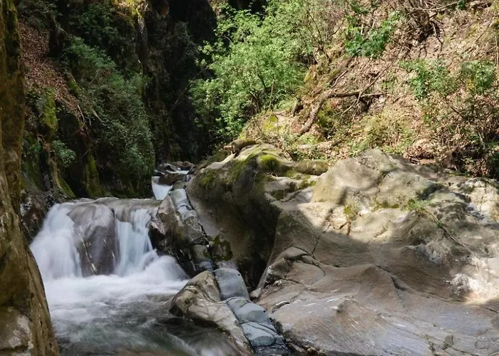 Palazzo Branca Mit Blick Auf Den See- By Interhome 別荘 *